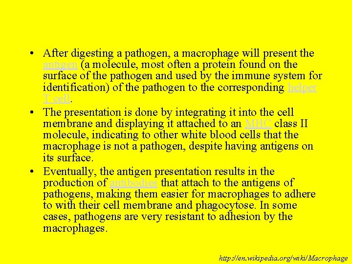 • After digesting a pathogen, a macrophage will present the antigen (a molecule, • After digesting a pathogen, a macrophage will present the antigen (a molecule,