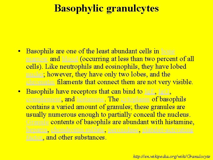 Basophylic granulcytes • Basophils are one of the least abundant cells in bone marrow