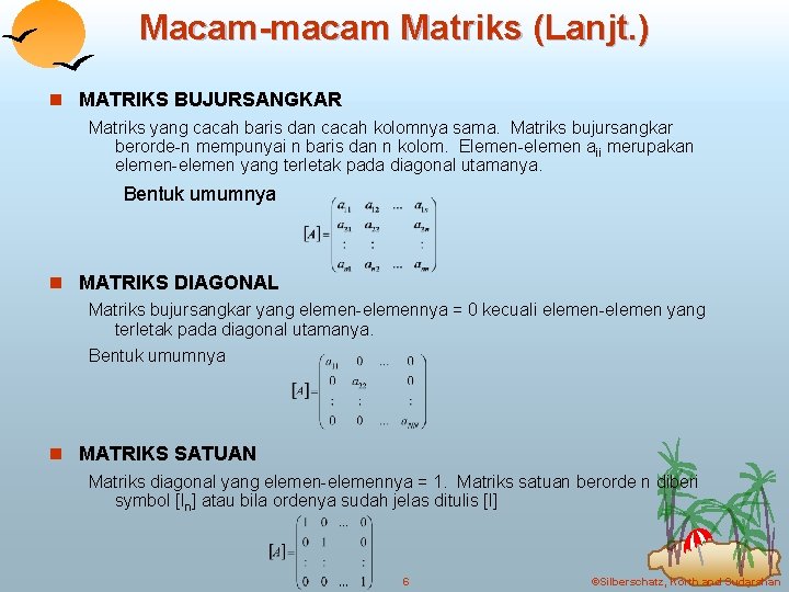 Macam-macam Matriks (Lanjt. ) n MATRIKS BUJURSANGKAR Matriks yang cacah baris dan cacah kolomnya