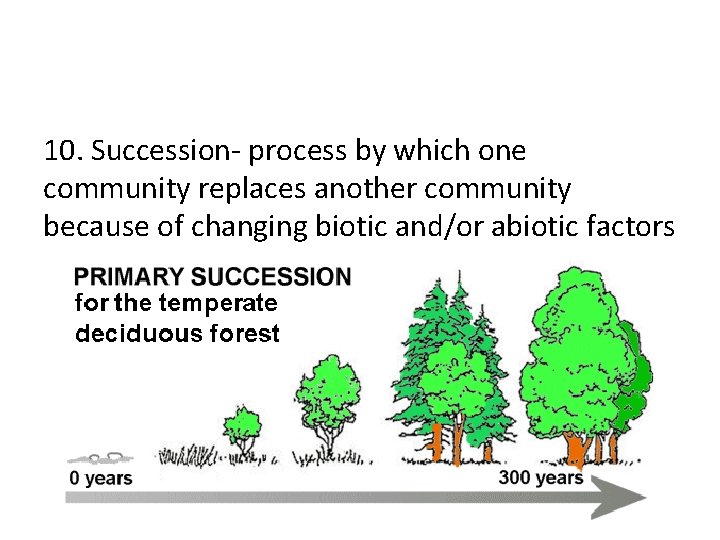 10. Succession- process by which one community replaces another community because of changing biotic