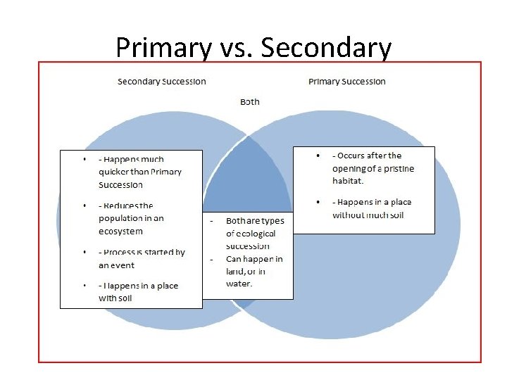 Primary vs. Secondary 