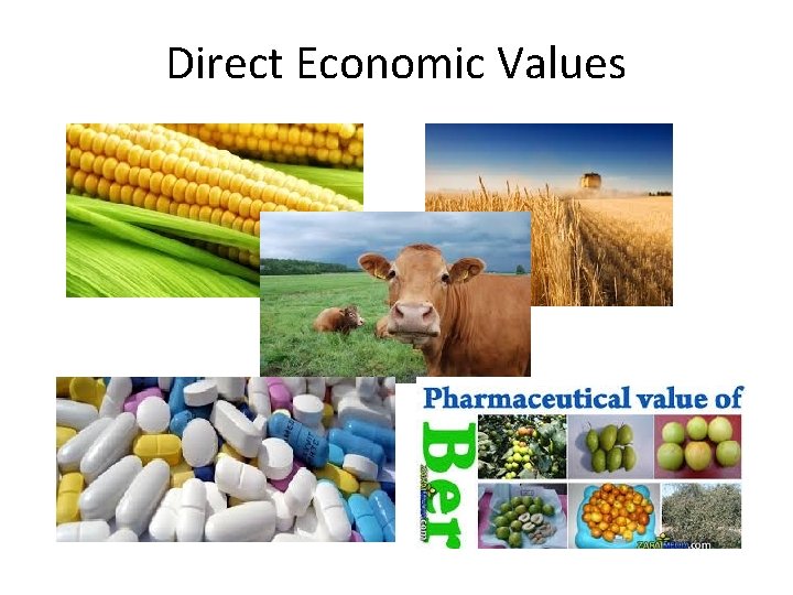 Direct Economic Values 