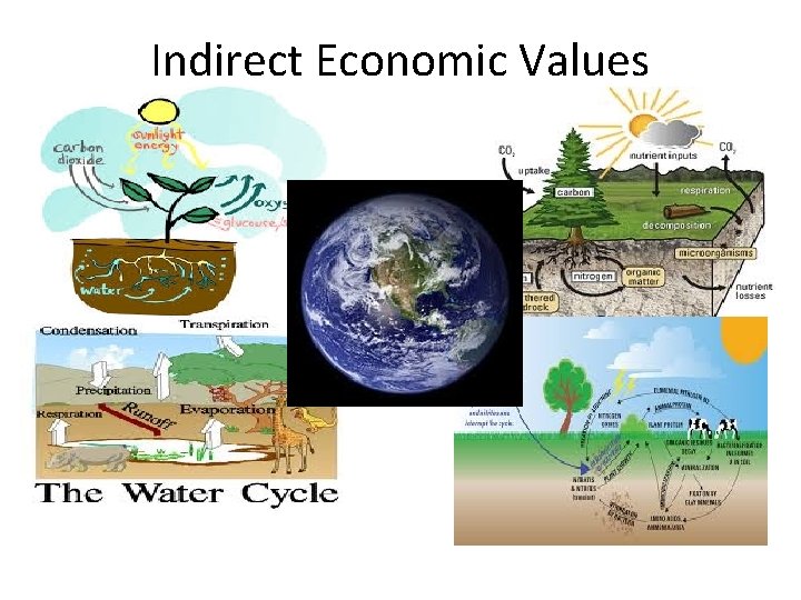 Indirect Economic Values 