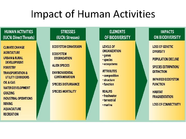 Impact of Human Activities 
