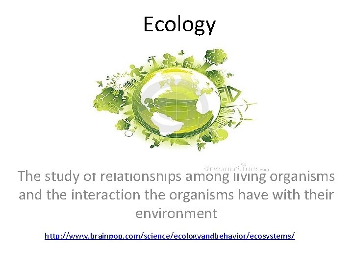 Ecology The study of relationships among living organisms and the interaction the organisms have