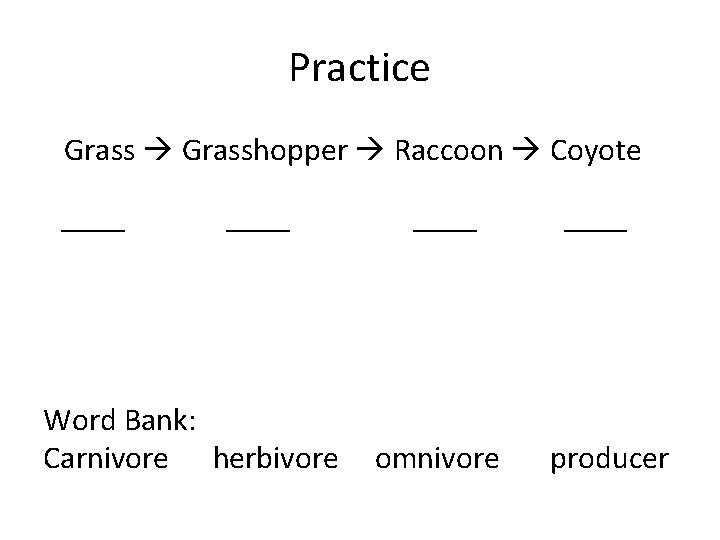 Practice Grasshopper Raccoon Coyote ____ Word Bank: Carnivore herbivore omnivore producer 