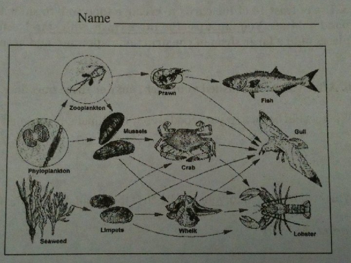Ticket To Leave 5. Which of the following organisms would be considered an autotroph?