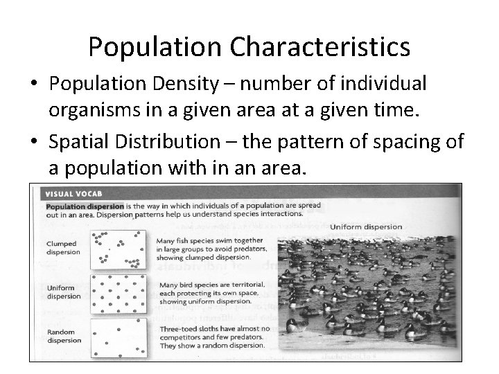 Population Characteristics • Population Density – number of individual organisms in a given area