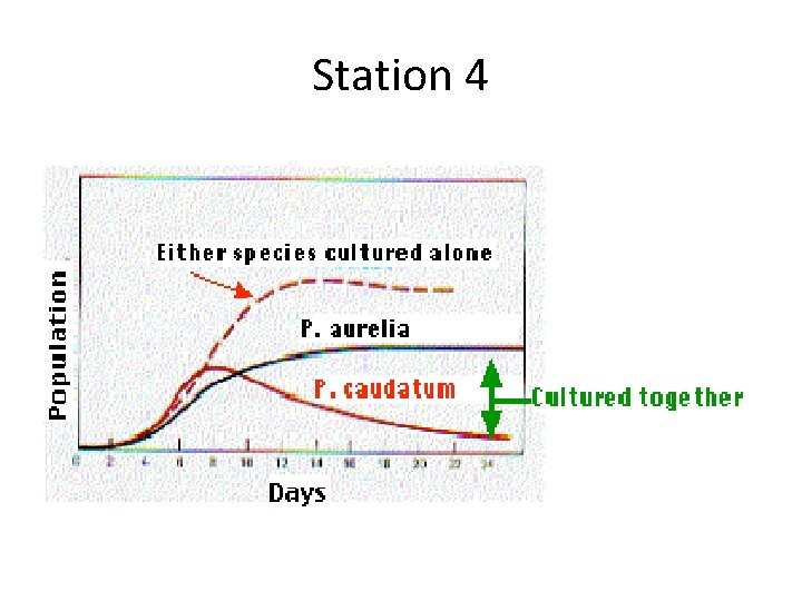 Station 4 