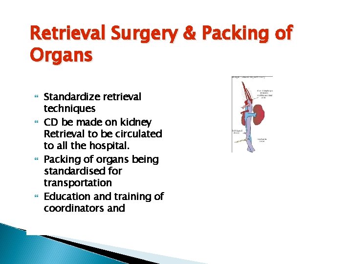 Retrieval Surgery & Packing of Organs Standardize retrieval techniques CD be made on kidney