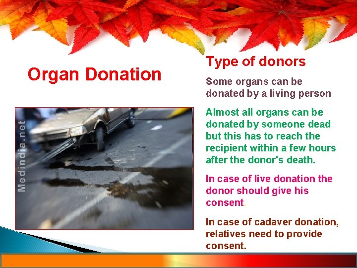 Organ Donation Type of donors Some organs can be donated by a living person
