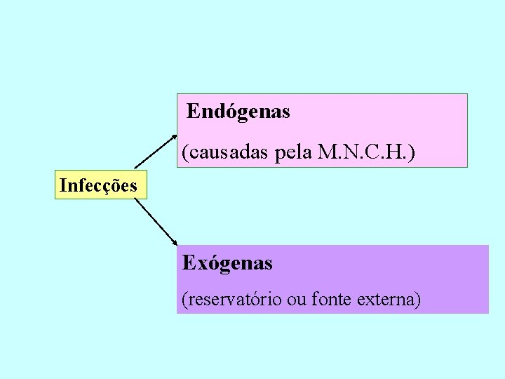  Endógenas (causadas pela M. N. C. H. ) Infecções Exógenas (reservatório ou fonte