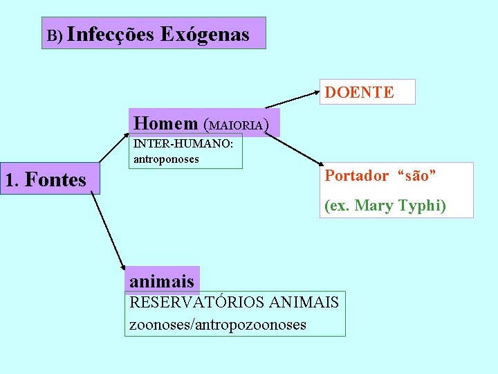 B) Infecções Exógenas DOENTE Homem (MAIORIA) INTER-HUMANO: antroponoses Portador “são” 1. Fontes (ex. Mary