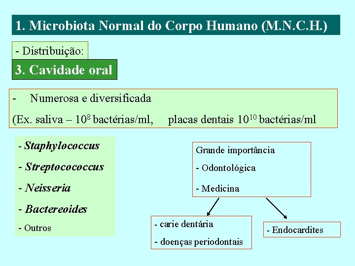 1. Microbiota Normal do Corpo Humano (M. N. C. H. ) - Distribuição: 3.