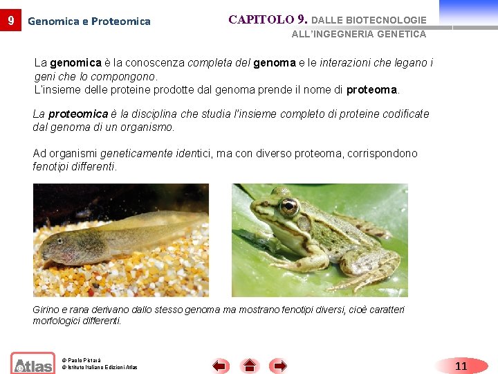 9 Genomica e Proteomica CAPITOLO 9. DALLE BIOTECNOLOGIE ALL’INGEGNERIA GENETICA La genomica è la