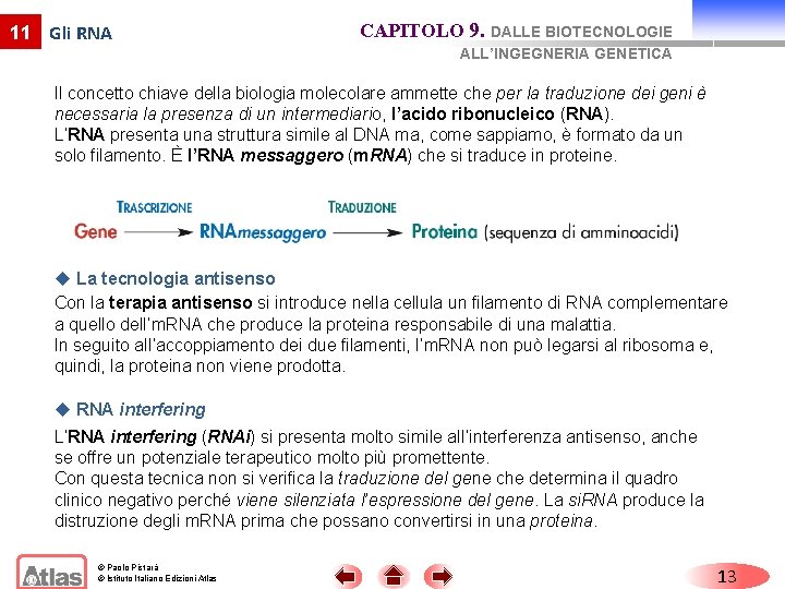 11 Gli RNA CAPITOLO 9. DALLE BIOTECNOLOGIE ALL’INGEGNERIA GENETICA Il concetto chiave della biologia