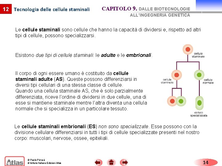 12 Tecnologia delle cellule staminali CAPITOLO 9. DALLE BIOTECNOLOGIE ALL’INGEGNERIA GENETICA Le cellule staminali