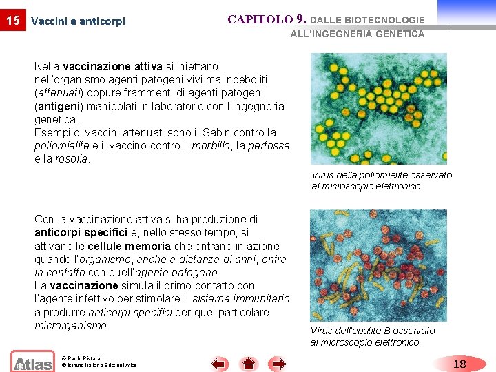 15 Vaccini e anticorpi CAPITOLO 9. DALLE BIOTECNOLOGIE ALL’INGEGNERIA GENETICA Nella vaccinazione attiva si