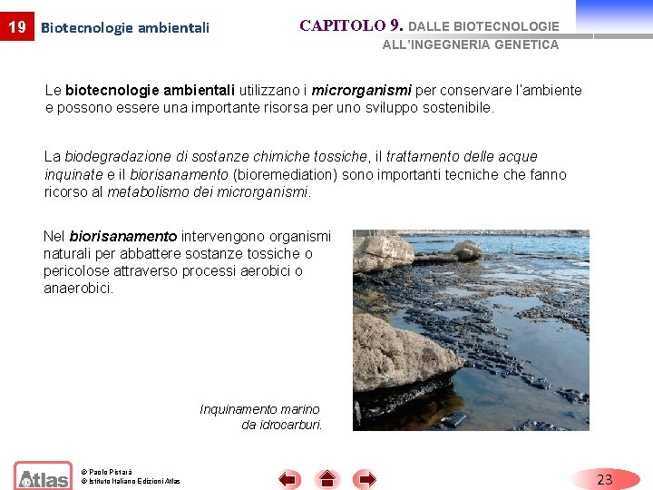 19 Biotecnologie ambientali CAPITOLO 9. DALLE BIOTECNOLOGIE ALL’INGEGNERIA GENETICA Le biotecnologie ambientali utilizzano i