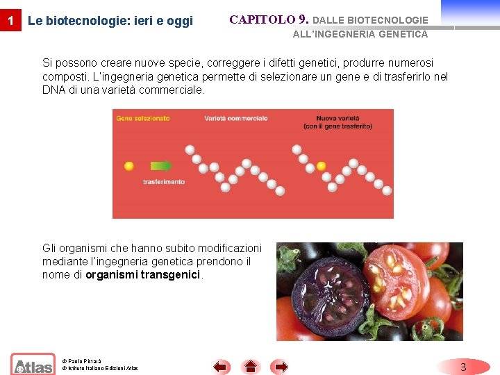 1 Le biotecnologie: ieri e oggi CAPITOLO 9. DALLE BIOTECNOLOGIE ALL’INGEGNERIA GENETICA Si possono