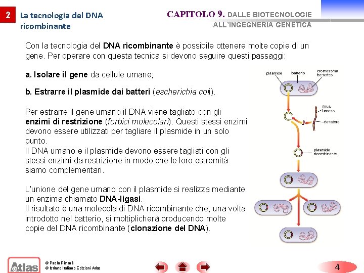 2 La tecnologia del DNA ricombinante CAPITOLO 9. DALLE BIOTECNOLOGIE ALL’INGEGNERIA GENETICA Con la