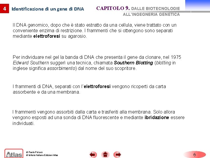 4 Identificazione di un gene di DNA CAPITOLO 9. DALLE BIOTECNOLOGIE ALL’INGEGNERIA GENETICA Il