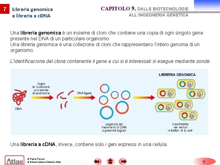 7 Libreria genomica e libreria a c. DNA CAPITOLO 9. DALLE BIOTECNOLOGIE ALL’INGEGNERIA GENETICA