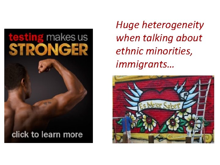 Huge heterogeneity when talking about ethnic minorities, immigrants… 