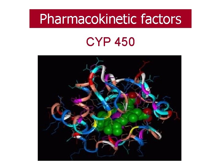 Pharmacokinetic factors CYP 450 