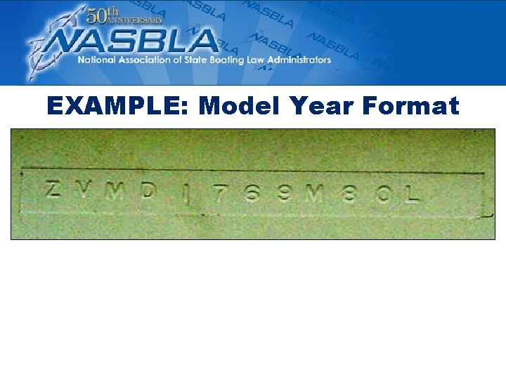 EXAMPLE: Model Year Format EXAMPLE: Model Year Format