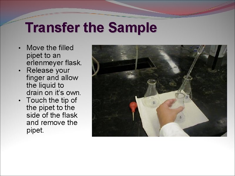 Transfer the Sample • Move the filled pipet to an erlenmeyer flask. • Release