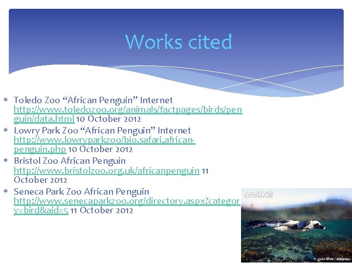 Works cited Toledo Zoo “African Penguin” Internet http: //www. toledozoo. org/animals/factpages/birds/pen guin/data. html 10