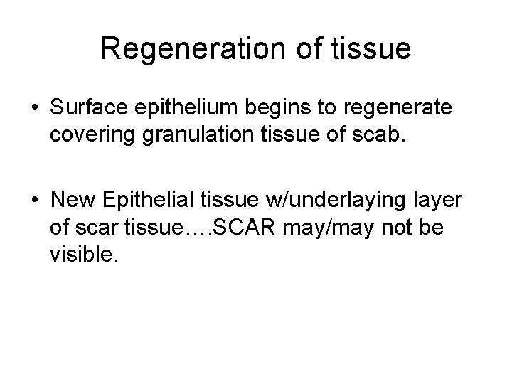 Regeneration of tissue • Surface epithelium begins to regenerate covering granulation tissue of scab.