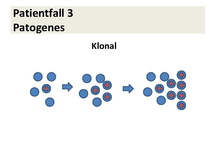 Patientfall 3 Patogenes Klonal 