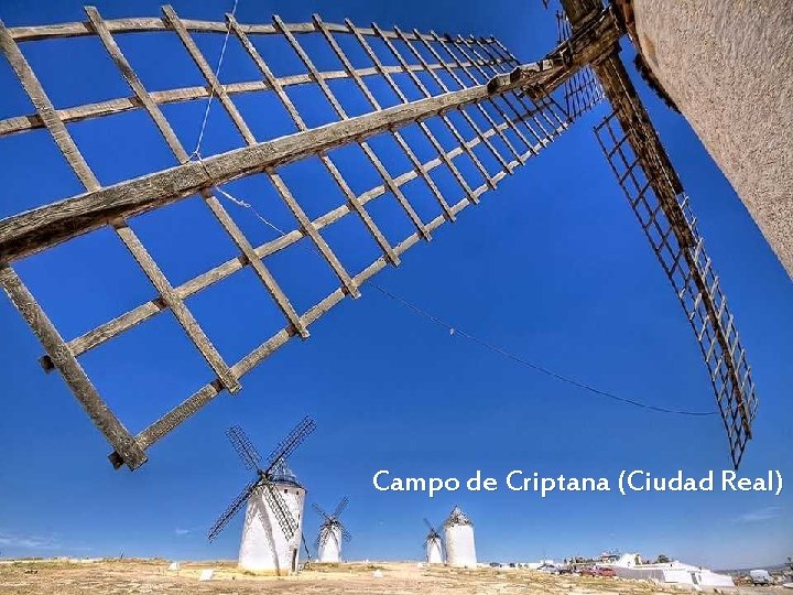 Campo de Criptana (Ciudad Real) 