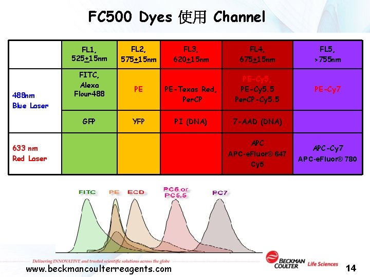 FC 500 Dyes 使用 Channel FL 1, 525+15 nm 488 nm Blue Laser FITC,