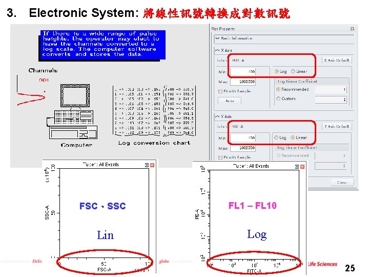 3. Electronic System: 將線性訊號轉換成對數訊號 FSC、SSC Lin FL 1 – FL 10 Log 25 