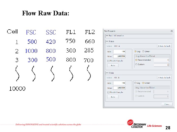 Flow Raw Data: FSC SSC 28 