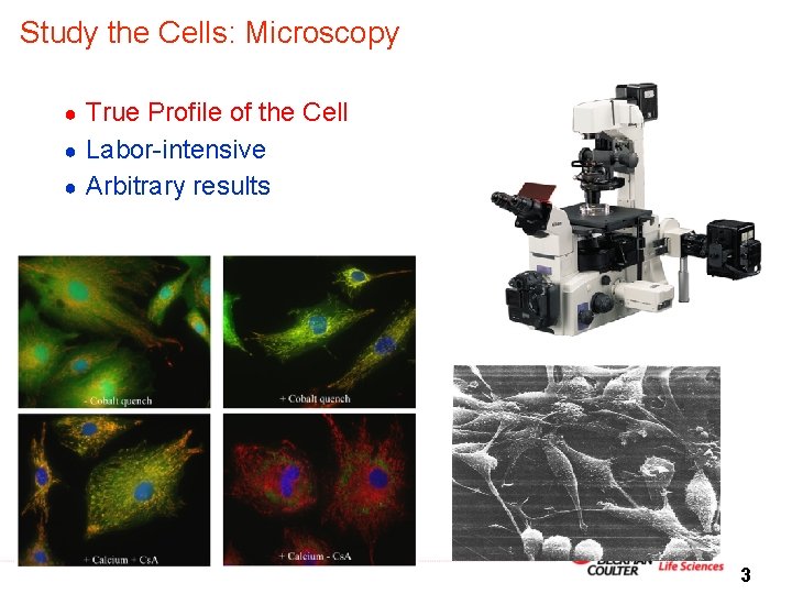 Study the Cells: Microscopy True Profile of the Cell ● Labor-intensive ● Arbitrary results