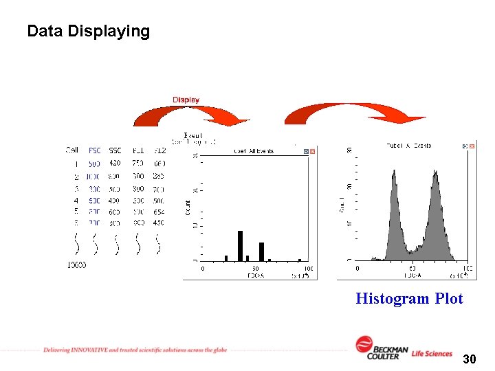 Data Displaying FSC SSC Histogram Plot 30 