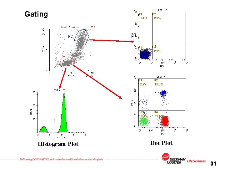 Gating P 2 P 1 Histogram Plot Dot Plot 31 