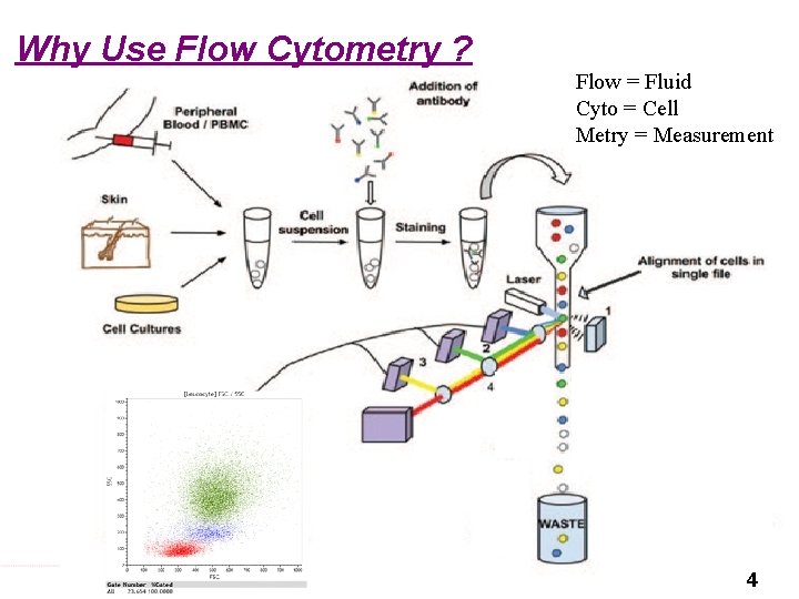 Why Use Flow Cytometry ? Flow = Fluid Cyto = Cell Metry = Measurement