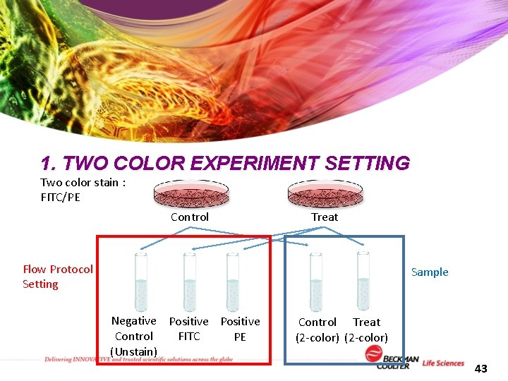 1. TWO COLOR EXPERIMENT SETTING Two color stain : FITC/PE Control Treat Flow Protocol