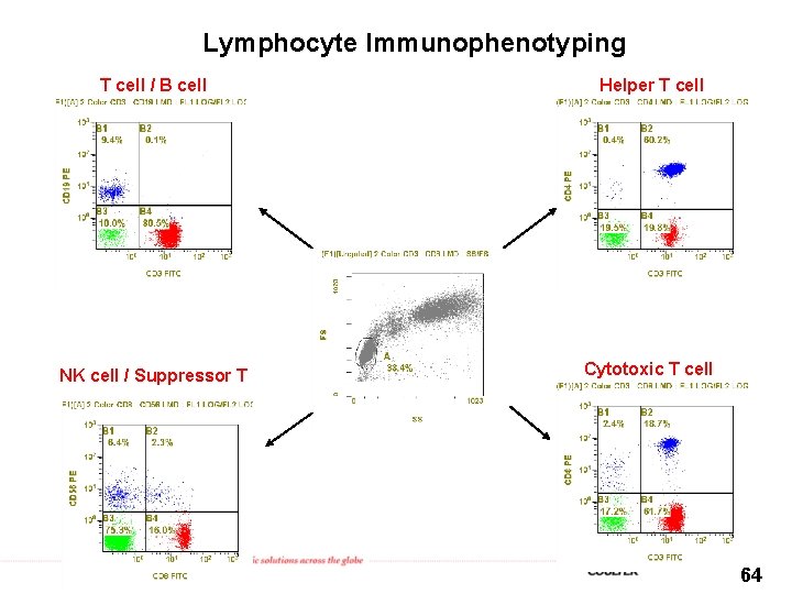 Lymphocyte Immunophenotyping T cell / B cell Helper T cell NK cell / Suppressor