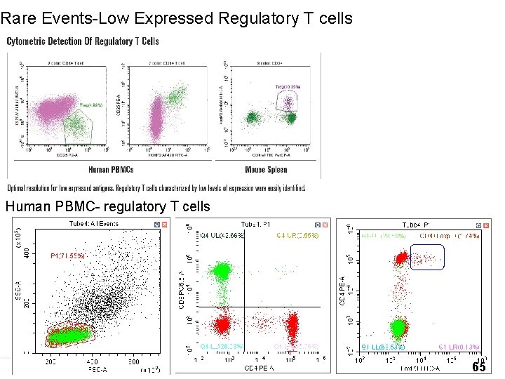 Rare Events-Low Expressed Regulatory T cells Human PBMC- regulatory T cells 65 