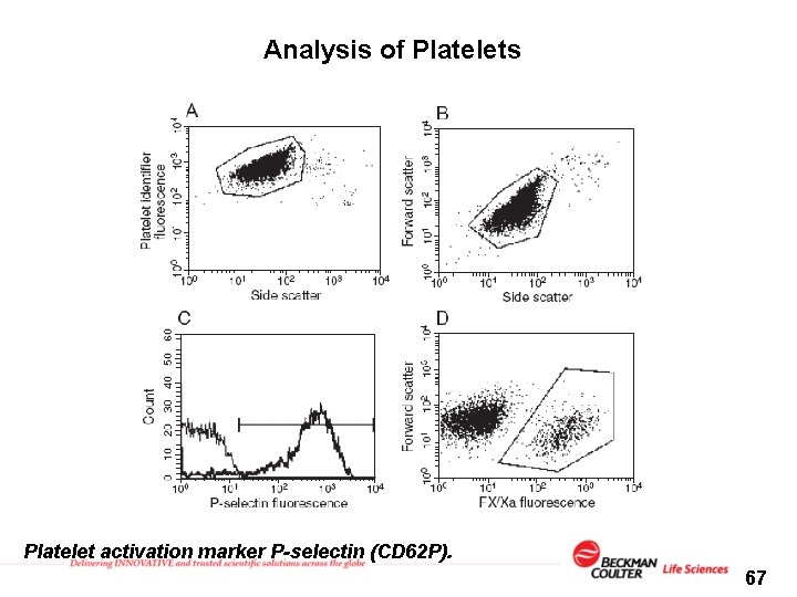 Analysis of Platelets Platelet activation marker P-selectin (CD 62 P). 67 