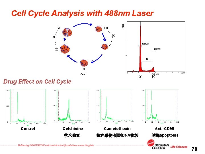 Cell Cycle Analysis with 488 nm Laser 2 C Drug Effect on Cell Cycle