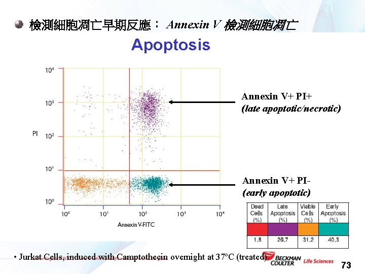 檢測細胞凋亡早期反應： Annexin V 檢測細胞凋亡 Apoptosis Annexin V+ PI+ (late apoptotic/necrotic) Annexin V+ PI(early apoptotic)