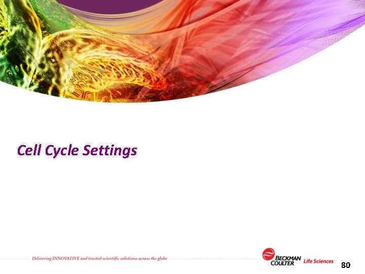 Cell Cycle Settings 80 