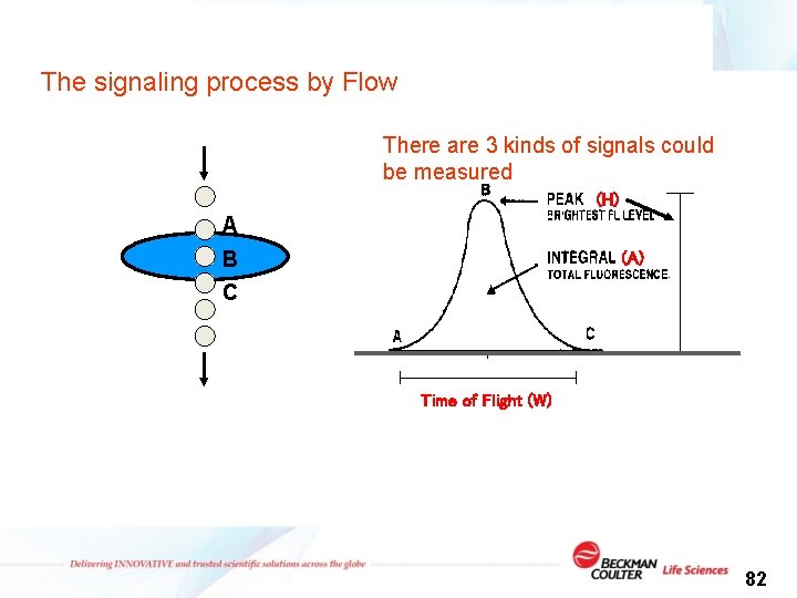 The signaling process by Flow There are 3 kinds of signals could be measured